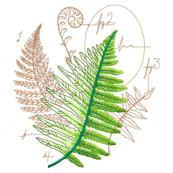 Scientific Fern Collage - Image 3