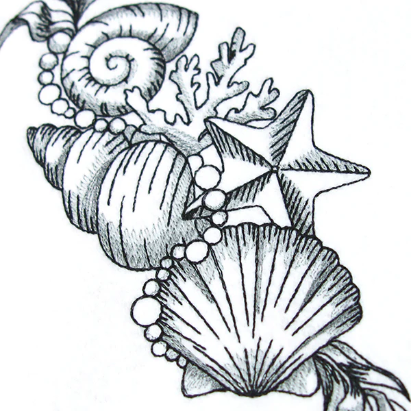 Seashell Treasures - Image 2