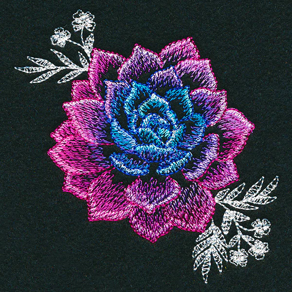 Sheer Beauty Succulent - Image 13