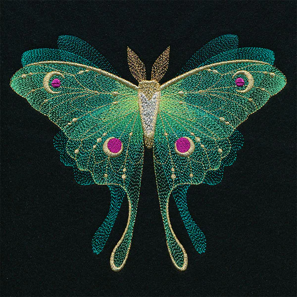 Sheer Illusions Luna Moth in Flight - Image 7