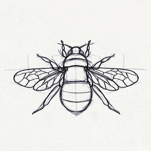 Sketchwork - Bee - Image 2