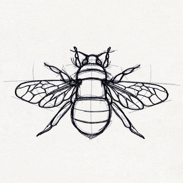 Sketchwork - Bee - Image 3