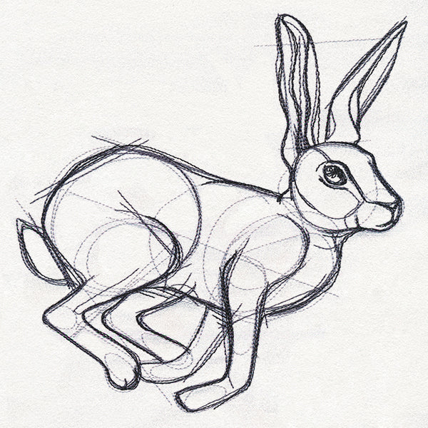 Sketchwork - Hare - Image 2
