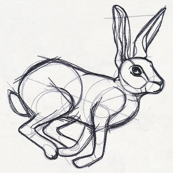 Sketchwork - Hare - Image 6
