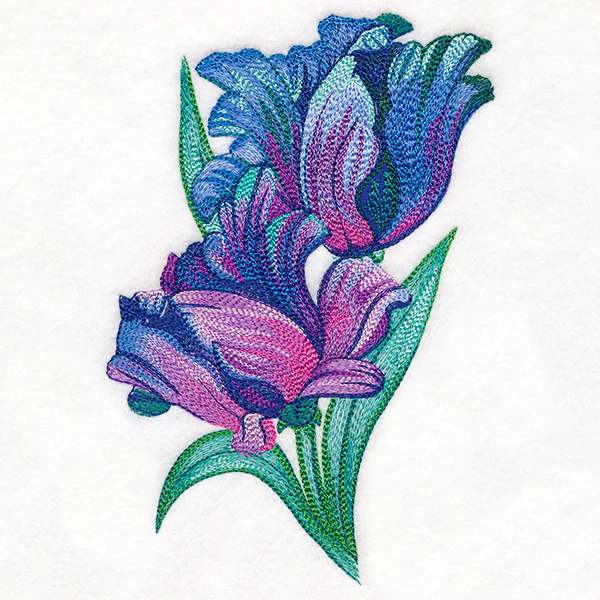 Spectrum of Color Parrot Tulips - Image 4