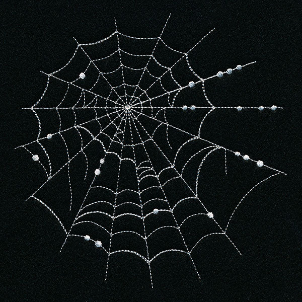 Spiraling Spiderwebs Feature - Image 3