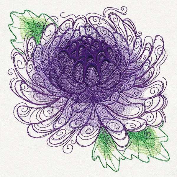 Spring Magic - Chrysanthemum - Image 2
