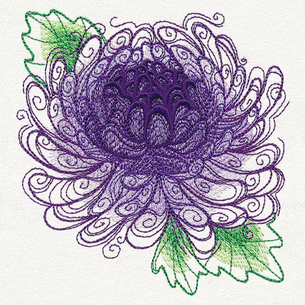 Spring Magic - Chrysanthemum - Image 4