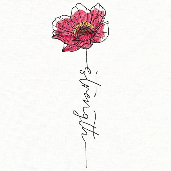 Strength Poppy in Bloom - Image 6