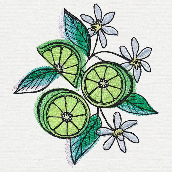 Summer Tastes - Limes - Image 6