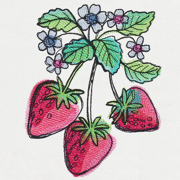 Summer Tastes - Strawberries - Image 4