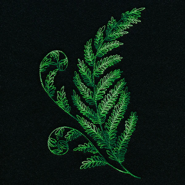 Textured Fern - Image 5