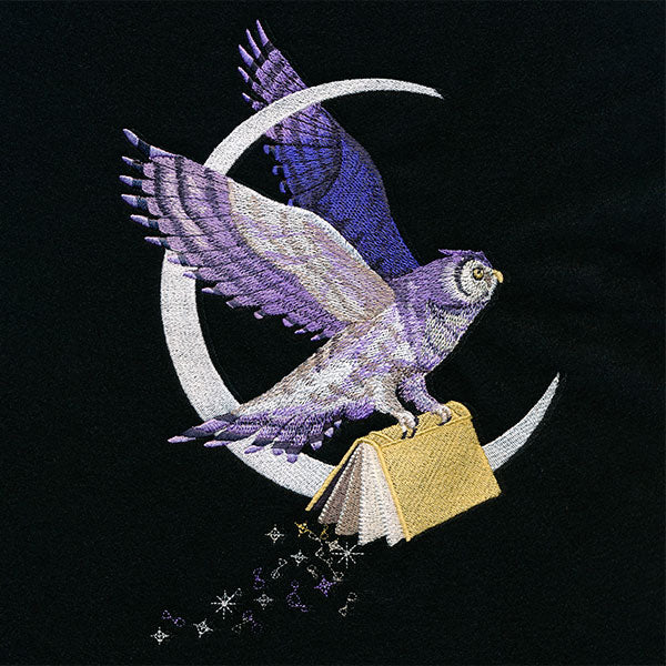 The Magic of Reading Celestial Owl - Image 7