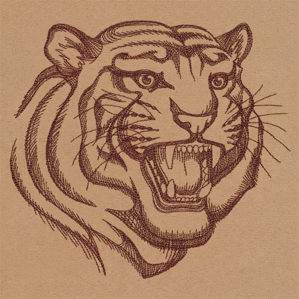 Tiger Talk - Image 6