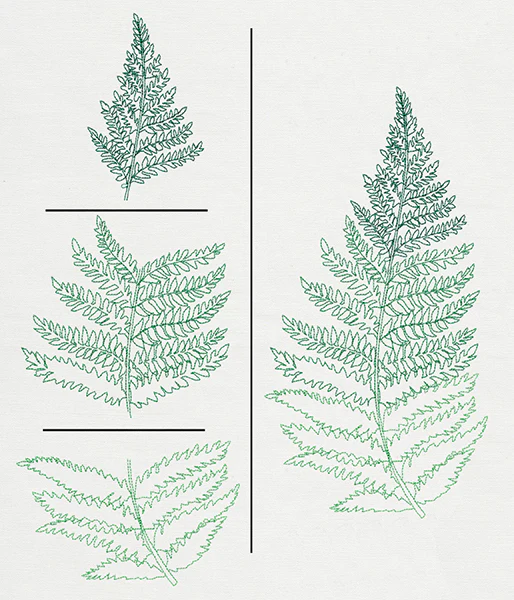 Where the Fern Grows (Split) - Image 3