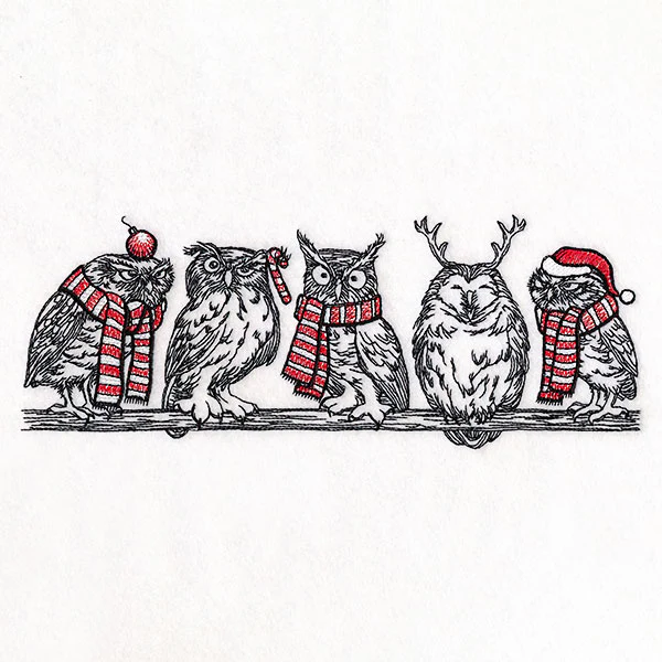 Whoo's Ready for Christmas Owl Border - Image 2