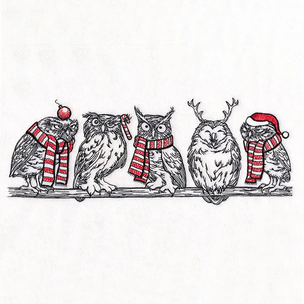 Whoo's Ready for Christmas Owl Border - Image 5