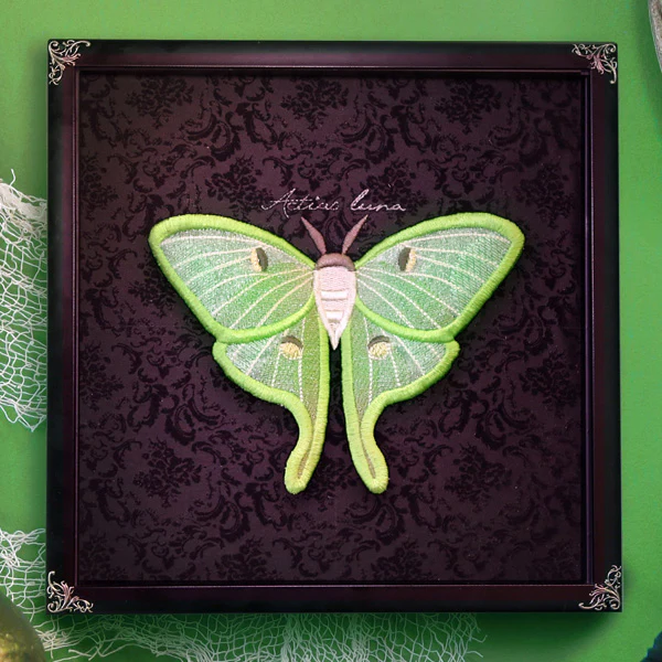 Winged Curiosities (3D Applique) (Design Pack) - Image 14