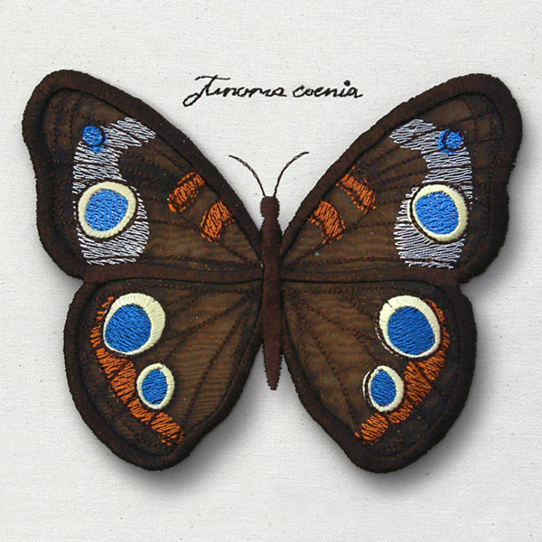 Winged Curiosities - Common Buckeye (3D Applique) - Image 8