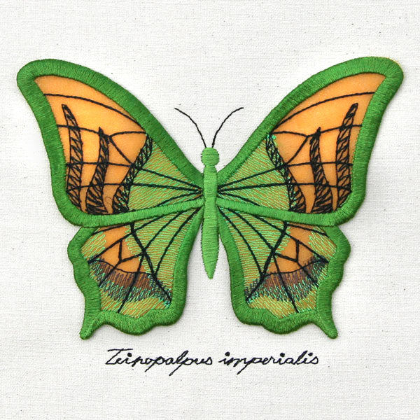 Winged Curiosities - Kaiser-i-Hind (3D Applique) - Image 3