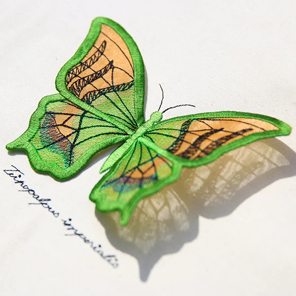 Winged Curiosities - Kaiser-i-Hind (3D Applique) - Image 9