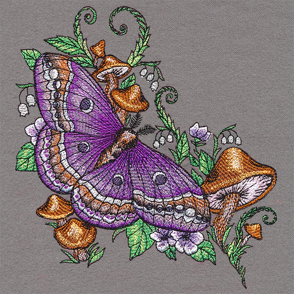 Woodland Garden Moth - Image 3