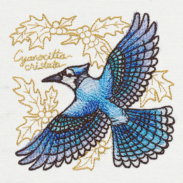 Yuletide Medley - Painted Blue Jay - Image 5