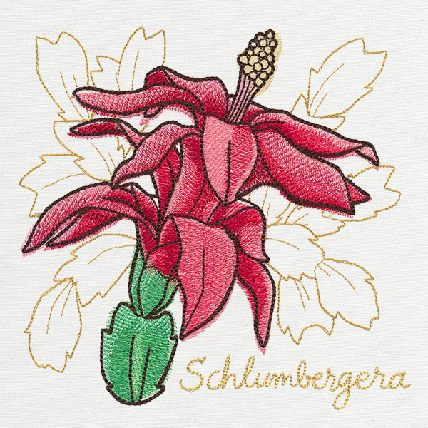 Yuletide Medley - Painted Christmas Cactus - Image 2