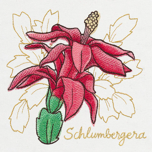 Yuletide Medley - Painted Christmas Cactus - Image 3