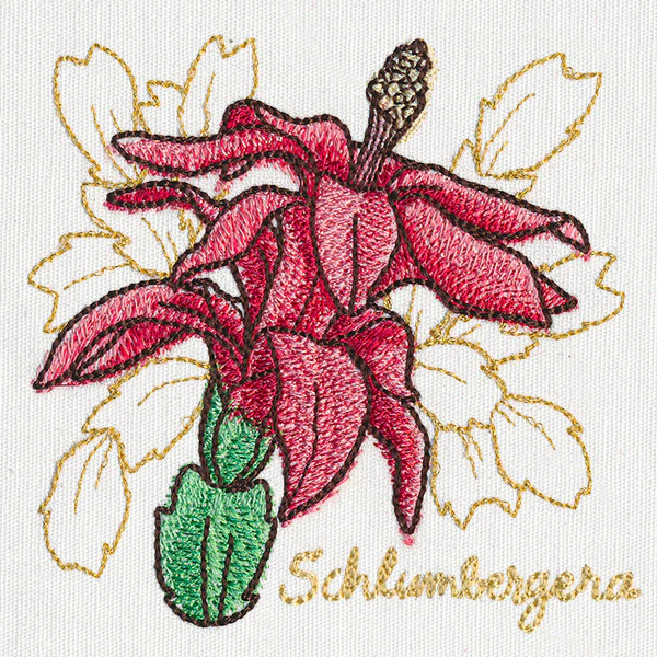 Yuletide Medley - Painted Christmas Cactus - Image 5